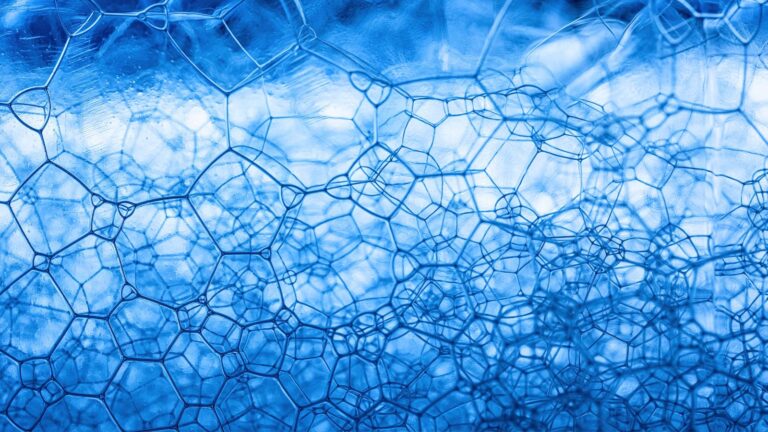 IP2: Understanding Internet Protocol Version 2 and Its Conceptual Evolution