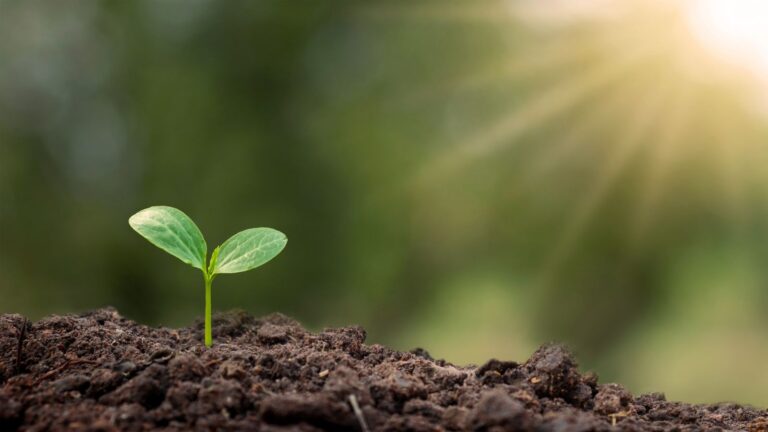 Usefullideas.net: The growing digital business environment in Turkey