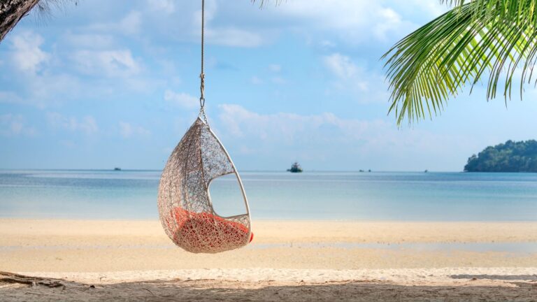 Swing Chair: A Suspended Seat Designed for Relaxing and Modern Living