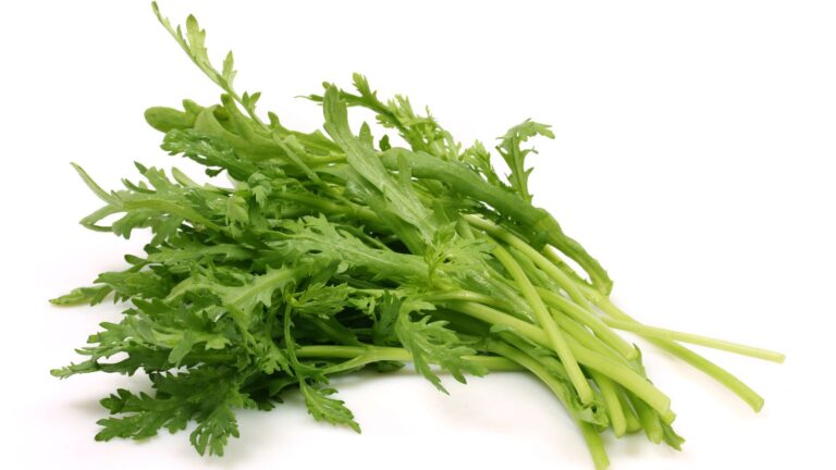 Tonghou: Edible Chrysanthemum Greens Tonghou: Edible Chrysanthemum Greens