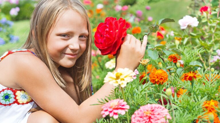 Pick Flowers Near Me: How to Find the Best U-Pick Flower Farms and Flower Fields Pick Flowers Near Me: How to Find the Best U-Pick Flower Farms and Flower Fields