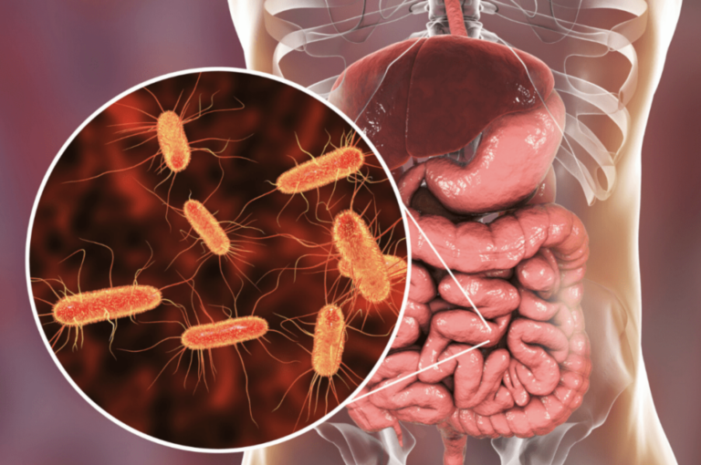 The Gut Microbiome: What Science Actually Knows So Far 